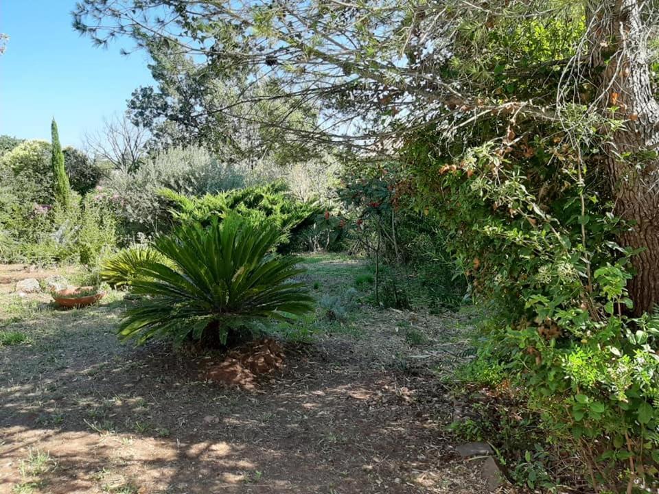Mas Provencal Au Cannet Des Maures Ле-Канне-де-Мор Экстерьер фото