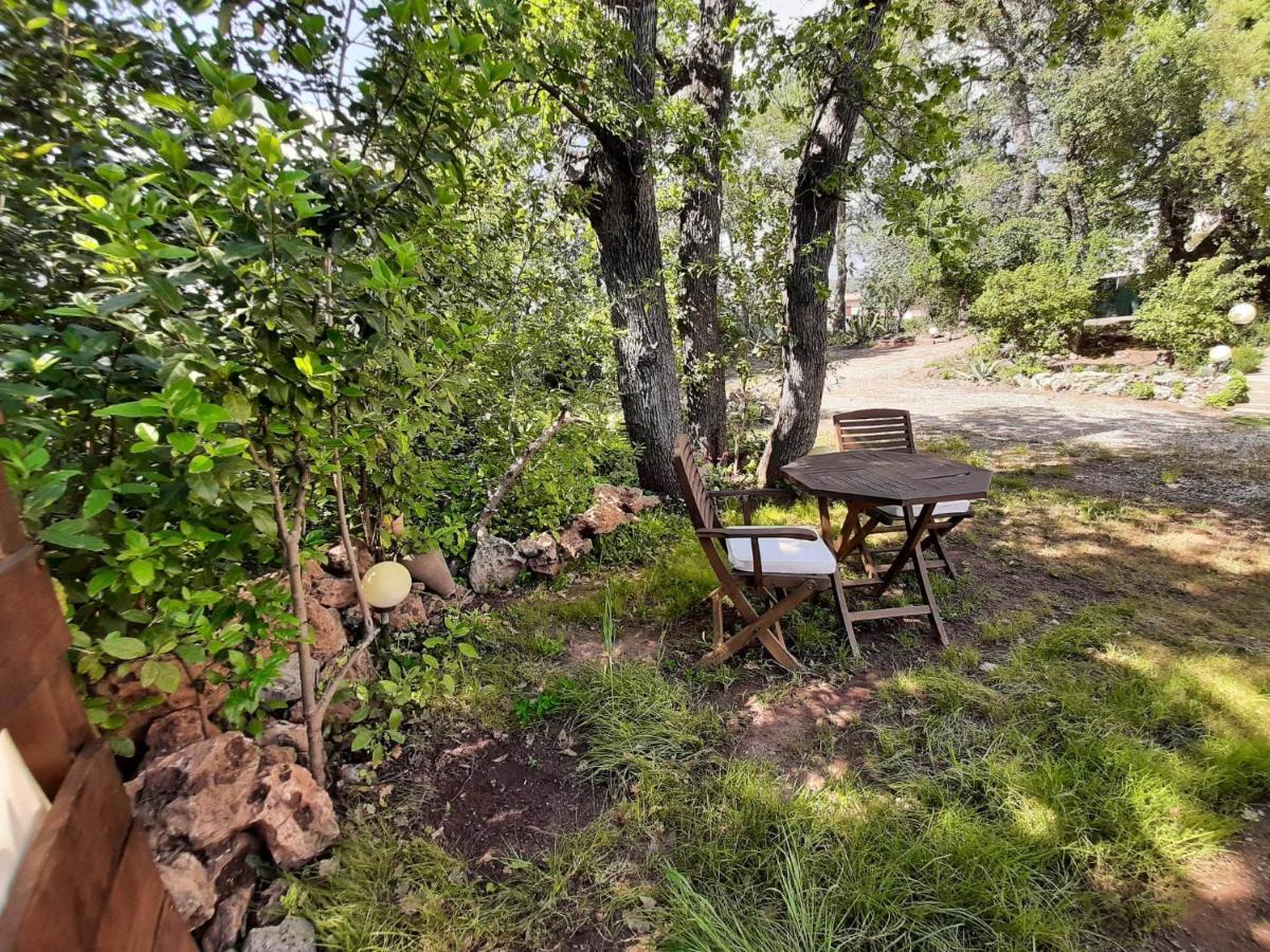 Mas Provencal Au Cannet Des Maures Ле-Канне-де-Мор Экстерьер фото
